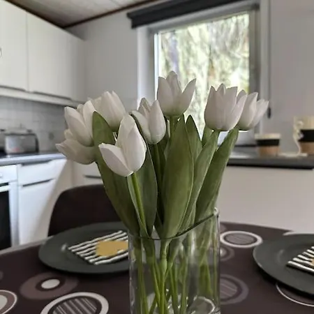 Tatil Evi Maison Au Coeur D'houffalize